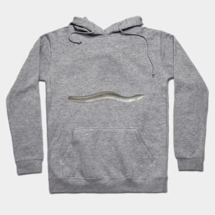 European Eel Hoodie